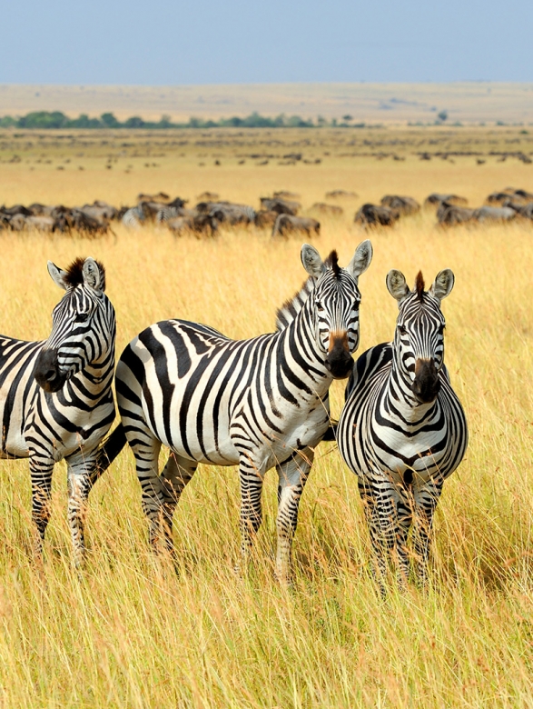 sylwia-pietruszka-218324-unsplash-790x1050